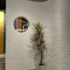 ốp tường trang trí đá mềm