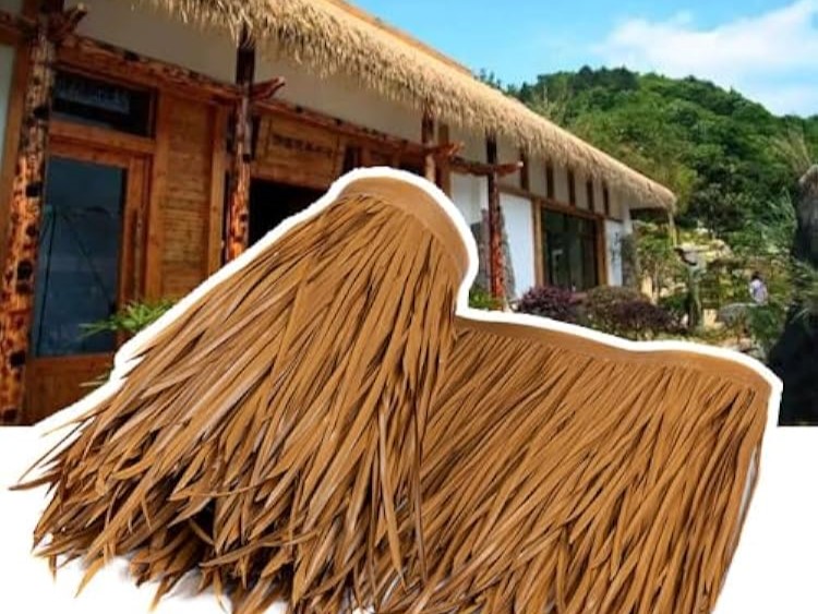 Sản phẩm khác