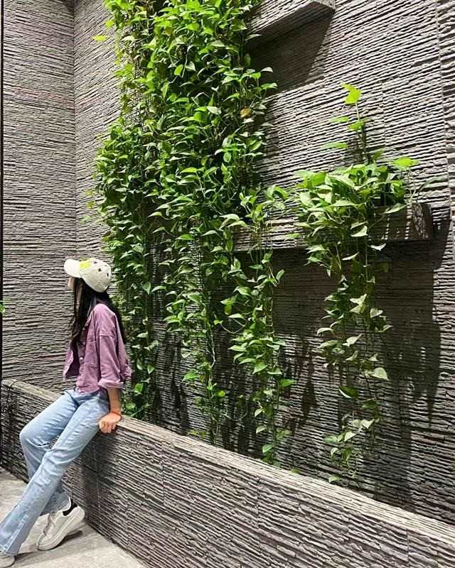 Đá dẻo vân đá chẻ trang trí tiểu cảnh sân vườn